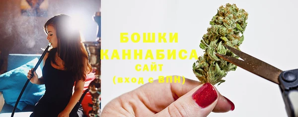 МДПВ Горно-Алтайск