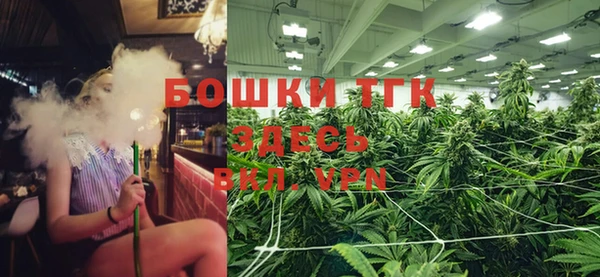 МДПВ Горно-Алтайск