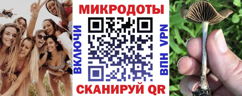 Галлюциногенные грибы MAGIC MUSHROOMS  Данилов 
